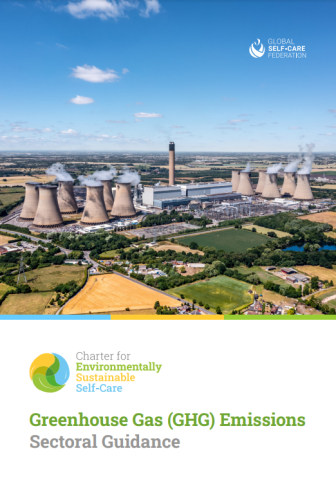 Image of Greenhouse Gas (GHG) Emissions Sectoral Guidance and Carbon Footprint Questionnaire